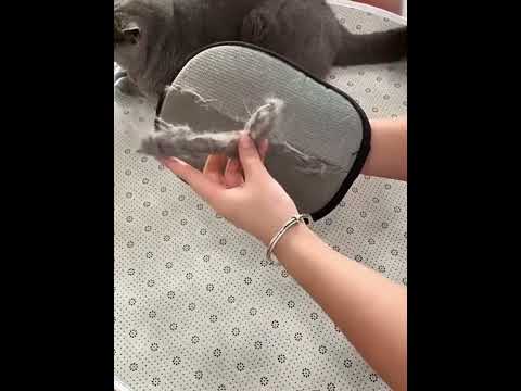 pet shower gloves